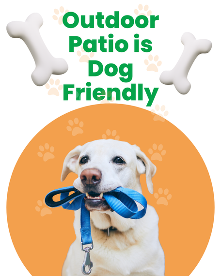 Dog Friendly Patio