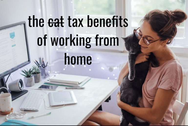 A Woman is Sitting at a Desk Holding a Cat — Townsville Accounting In Hyde Park, QLD