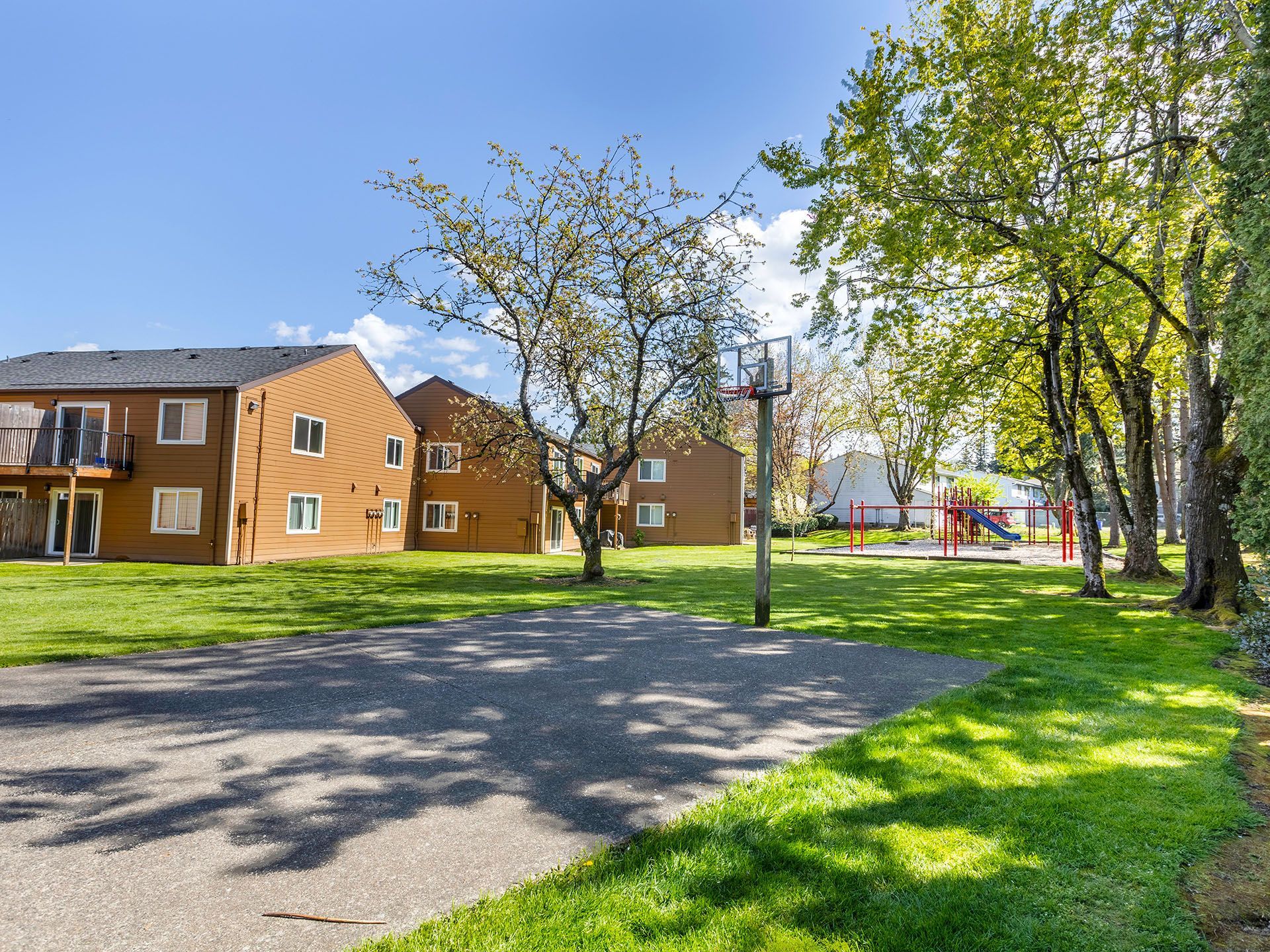 Photo of the half-court basketball court