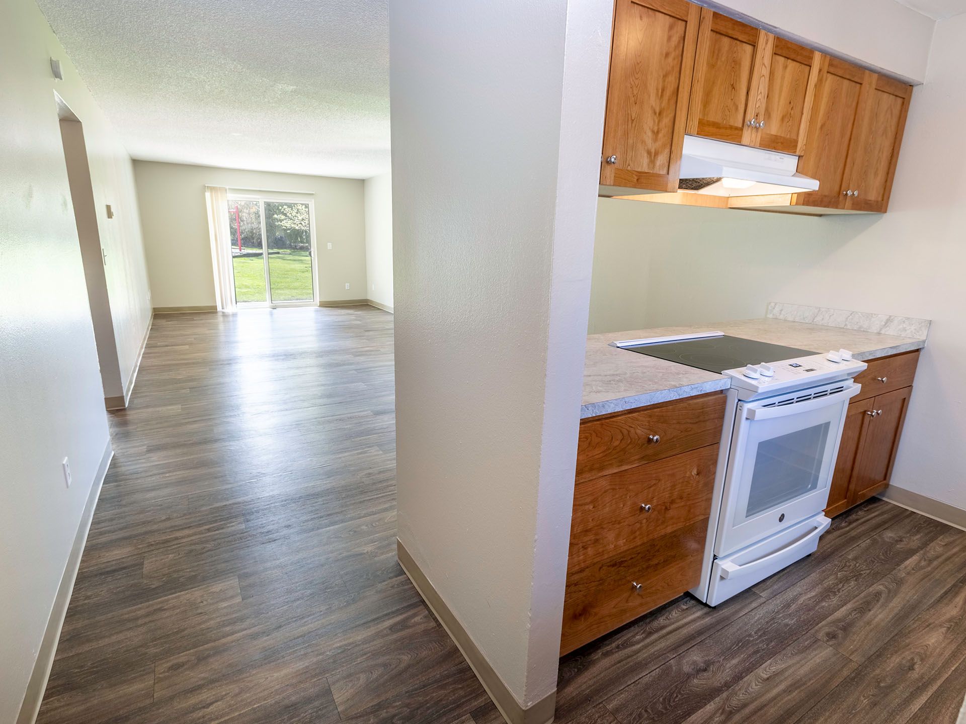 Photo of the kitchen in the foreground and the living room in the background