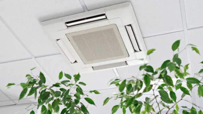 A ceiling fan is hanging from the ceiling next to a plant.