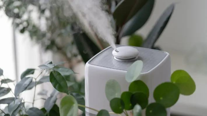 A white humidifier is sitting on a table next to a plant.