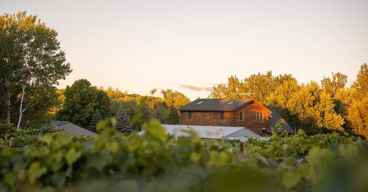 A two-story log building sits nestled among lush, golden-lit trees, viewed from behind a foreground of green vines.