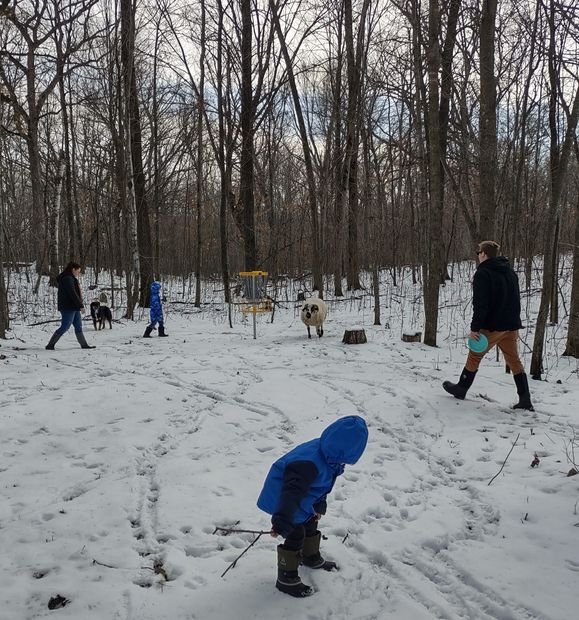 A family and a dog walking in a snowy, wooded area toward a disc golf basket.
