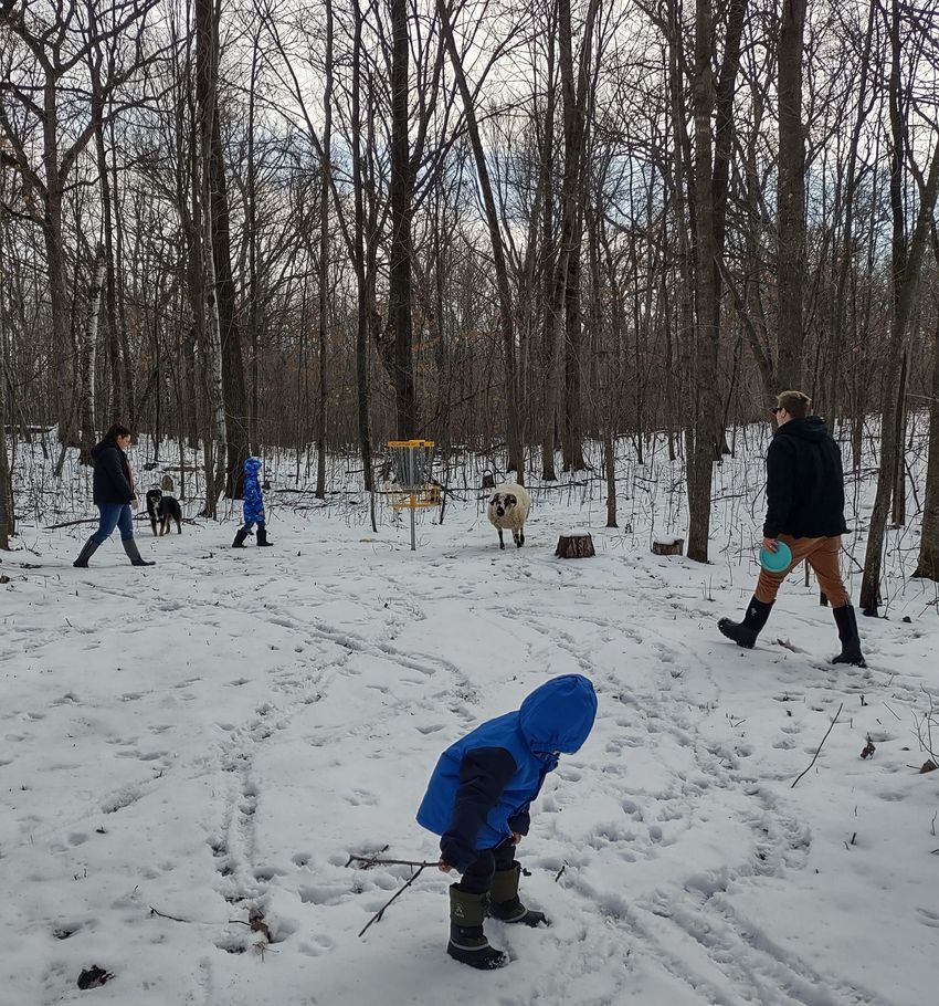 A family and a dog walking in a snowy, wooded area toward a disc golf basket.