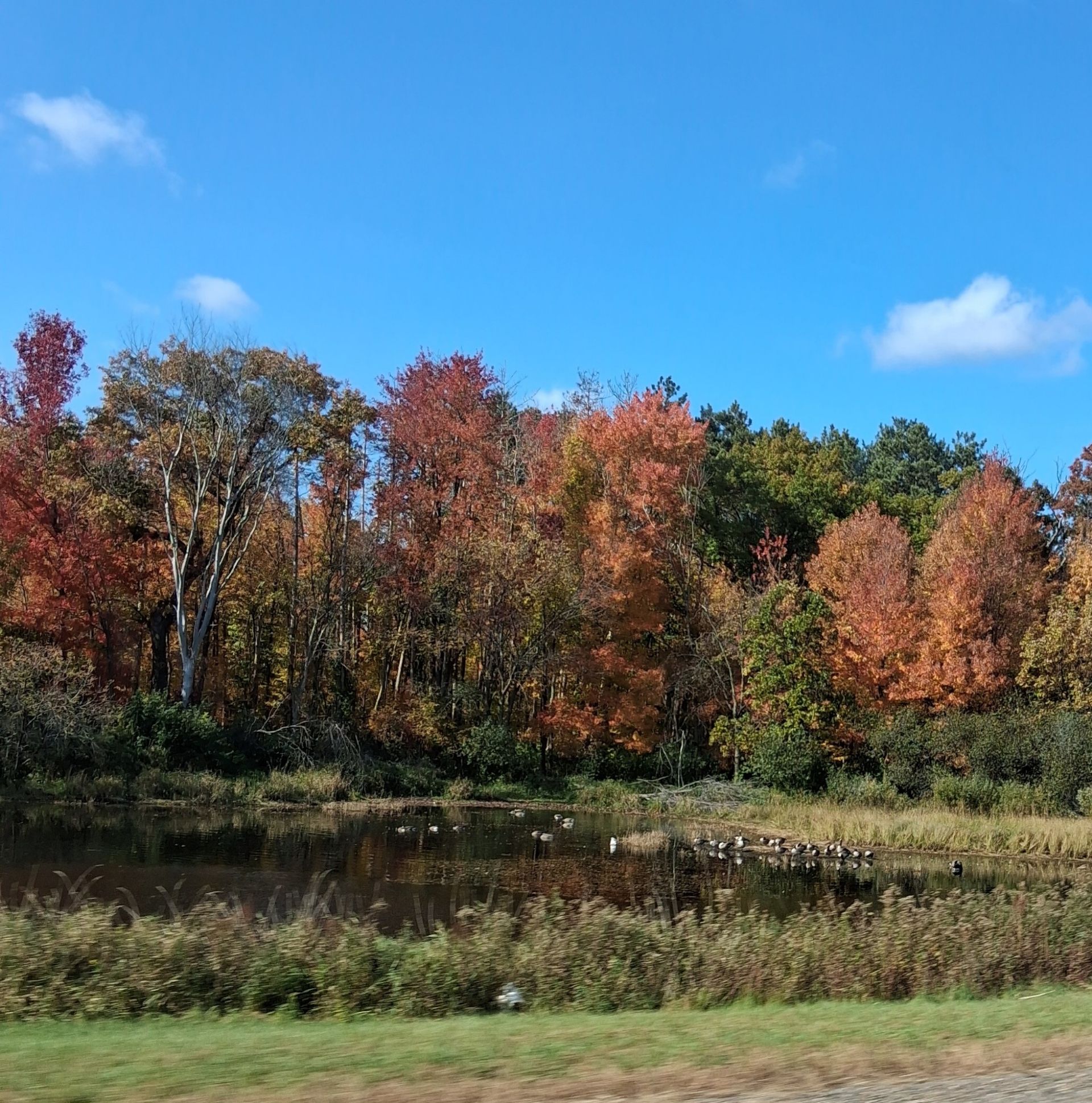 A calm pond reflects a line of vibrant autumn trees with red, orange, and green foliage under a clear blue sky.