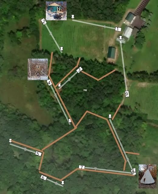 A group of people walk through a snowy, wooded disc golf course with a basket and a dog nearby.
