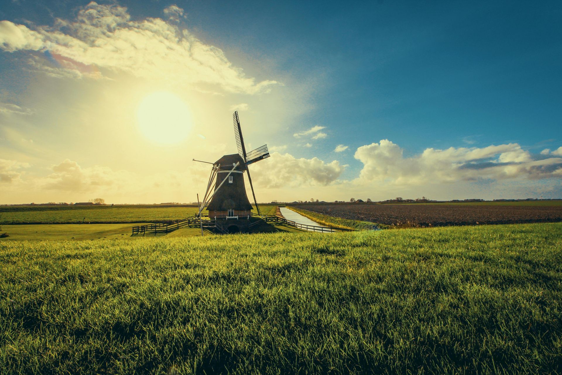 Landscape in Netherlands