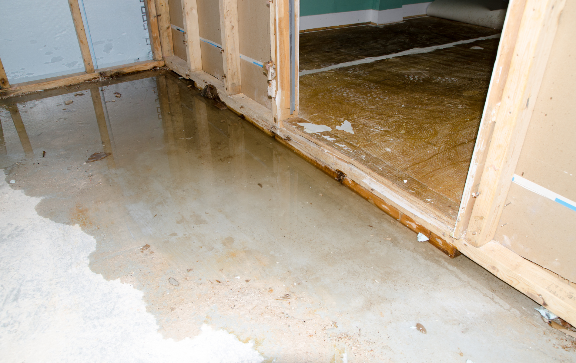 A flooded basement with water coming out of the door.