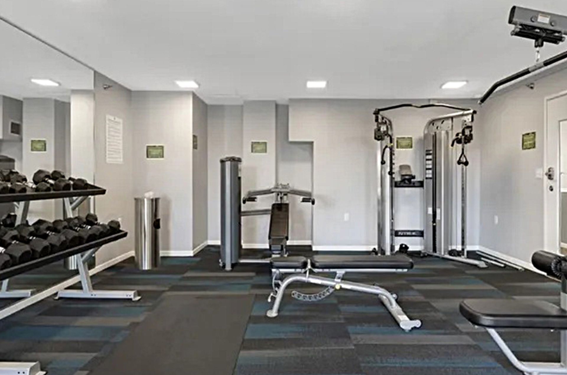 Gym interior with weights, machines, mirrors, and a bench. Gray and blue color scheme.