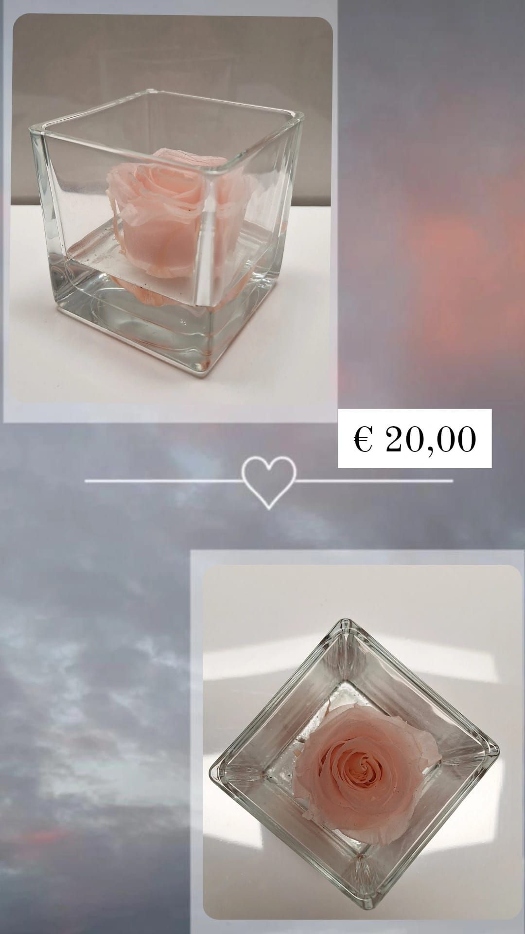 vaso di vetro con rosa XL rosa