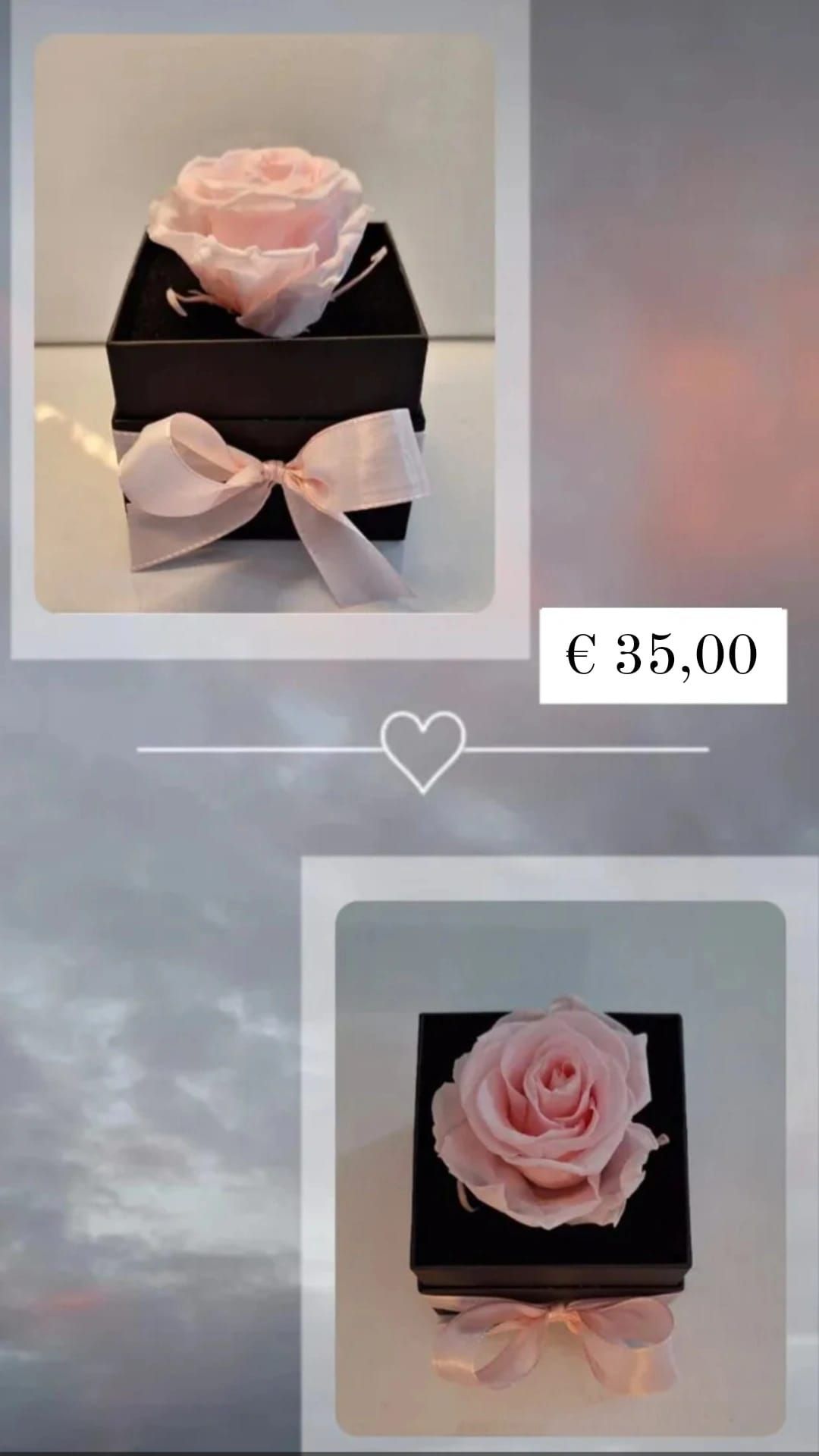 Box nera quadrata con una rosa XL rosa