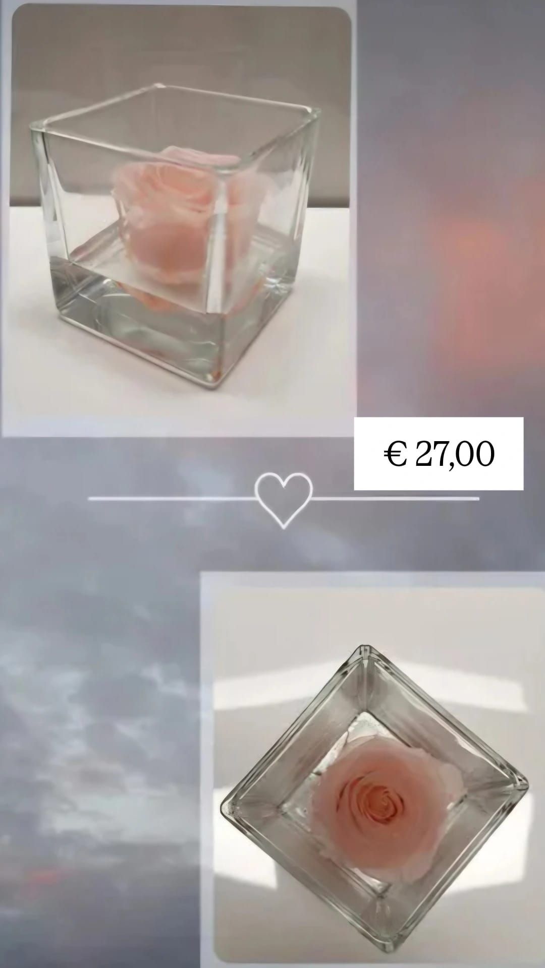 vaso di vetro con rosa XL rosa