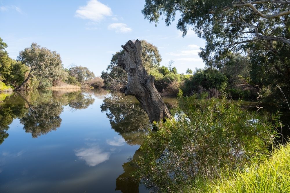 Riverside With Calm Water Reflecting Clouds and Lush Trees — Adaptive Care Pty Ltd In Werribee, VIC