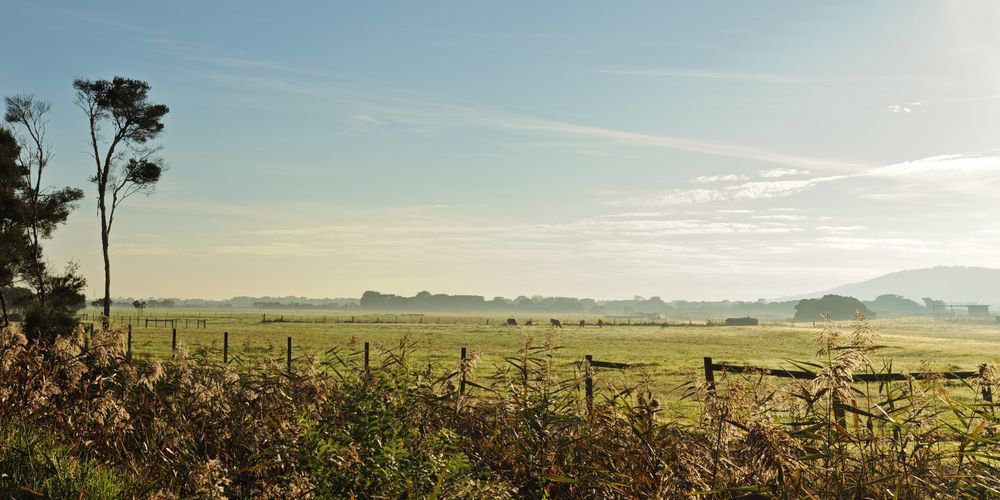 Rural Landscape With a Field — Adaptive Care Pty Ltd In Cranbourne, VIC
