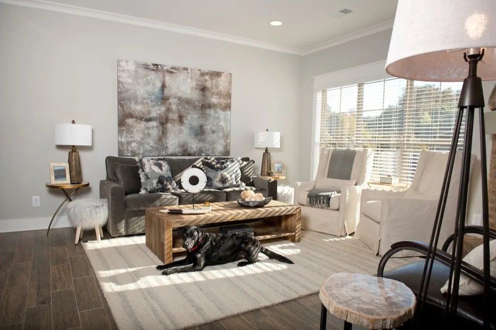 A Fairin Realty living room with a dog, pet-friendly homes for rent near Birmingham