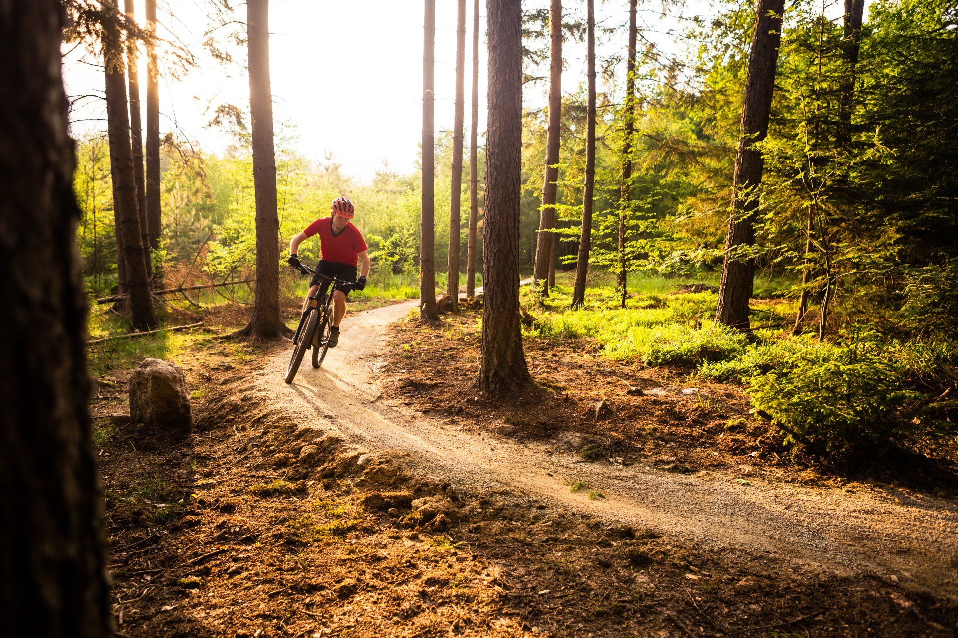 Mountain biking in Oak Mountain Blazej Lyjak © Shutterstock