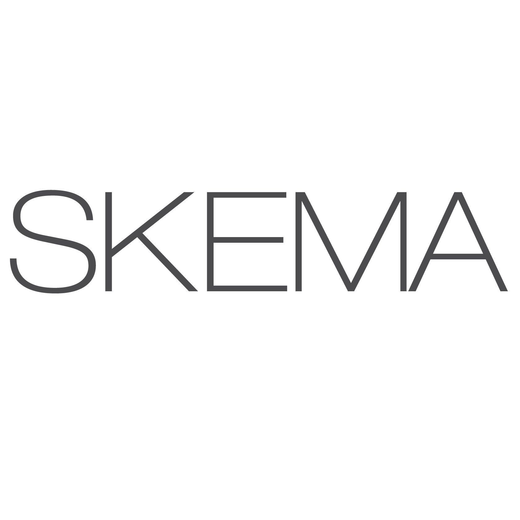 Logo Skema