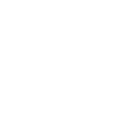 ICONA LOGO