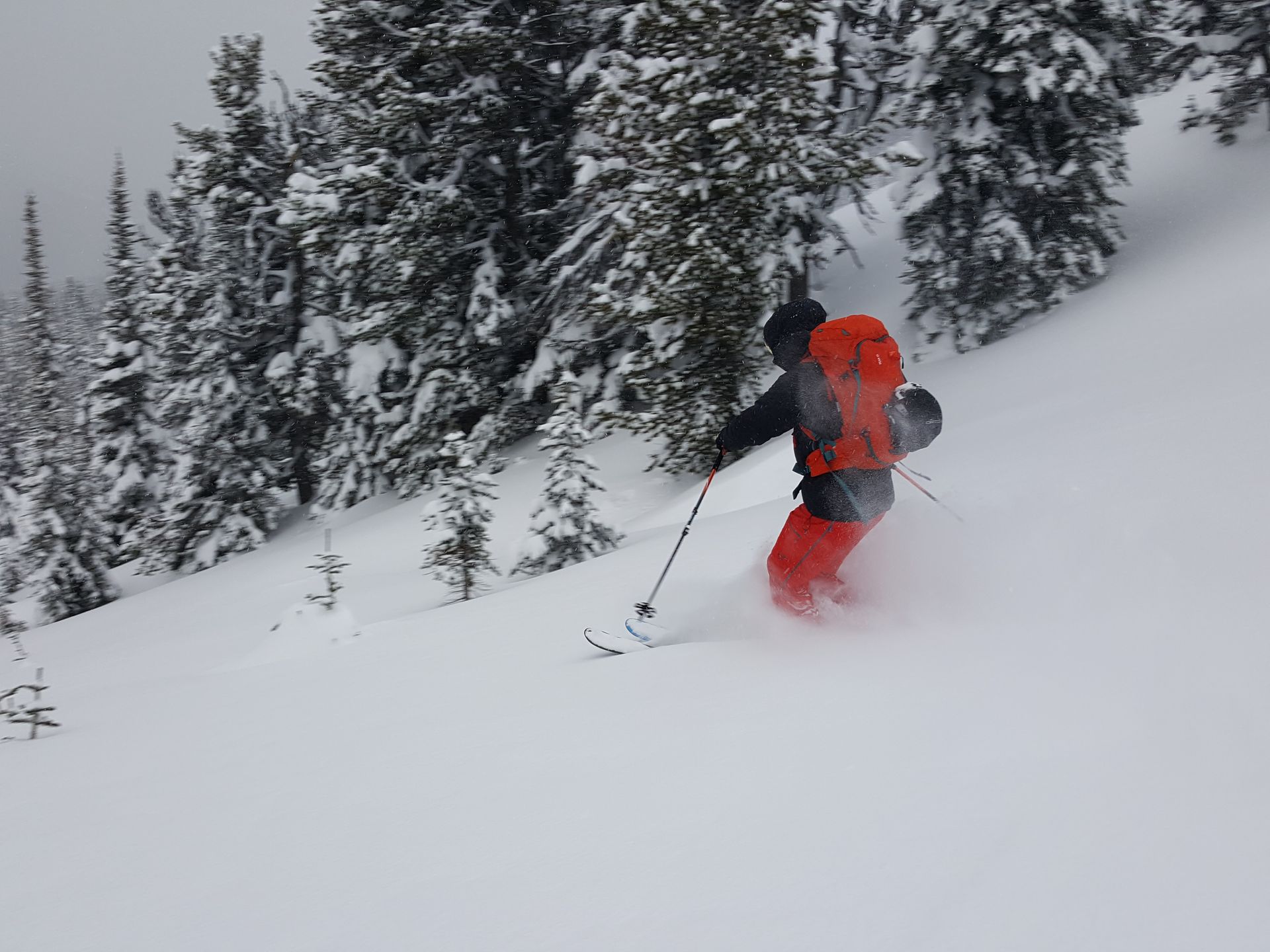 Canstudies - Estude e trabalhe em Whistler