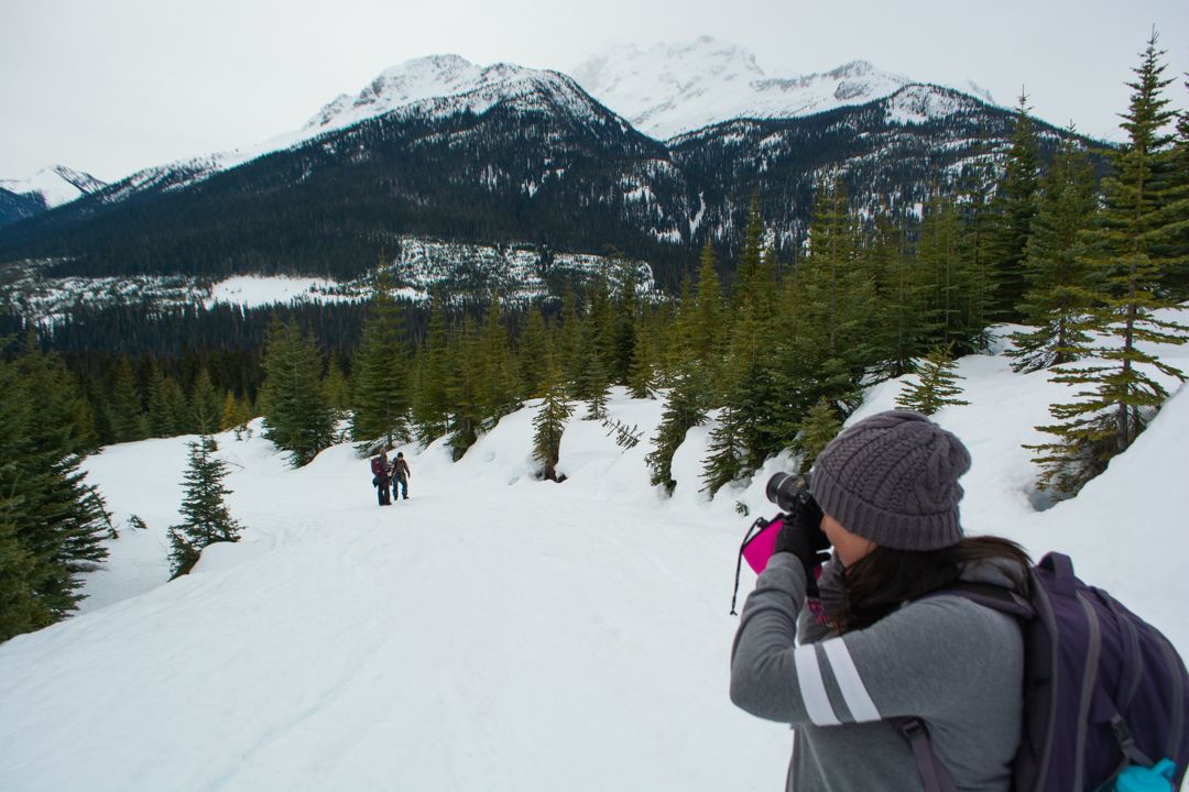Canstudies - Estude e trabalhe em Whistler