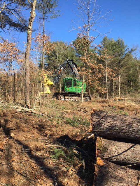 Pirner Logging | Gallery | Hubbardston, MA