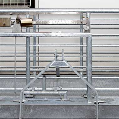 Básculas línea ganadera