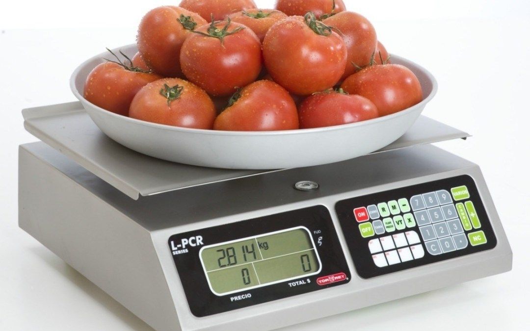 Básculas Torrey Precio