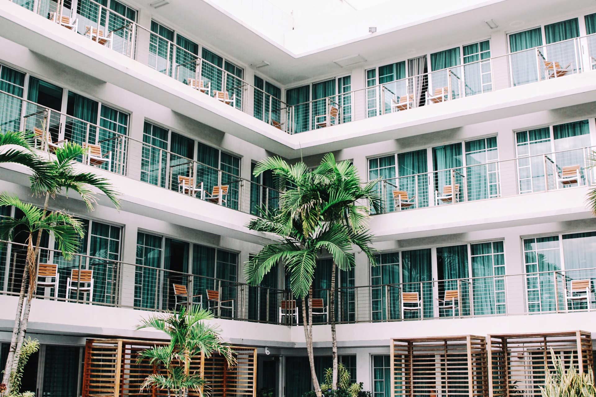 A large building with a lot of windows and a palm tree in the middle.