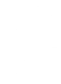 A close-up of a small, brown-and-white patterned moth resting on a textured, dark gray concrete surface.