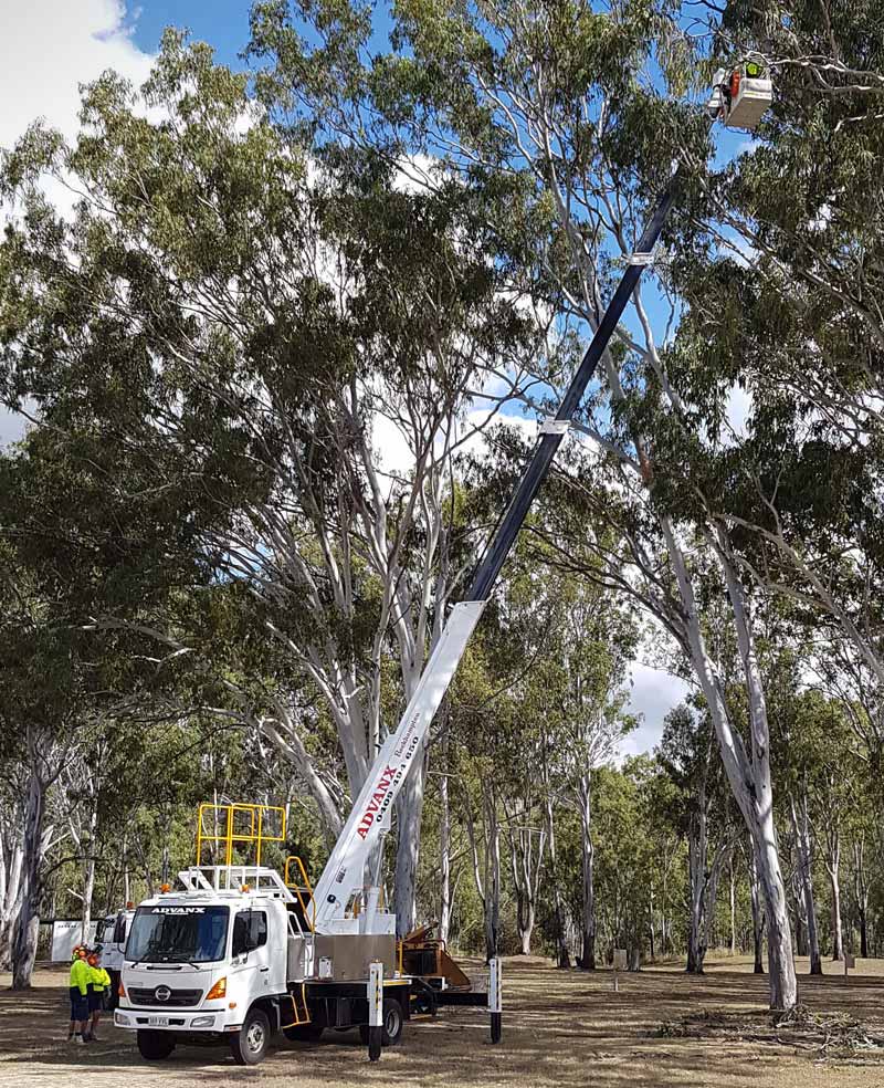 Elevated Platform for Tree Services — Advanx Rockhampton in Etna Creek, QLD
