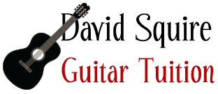 David Squire Guitar Tuition logo