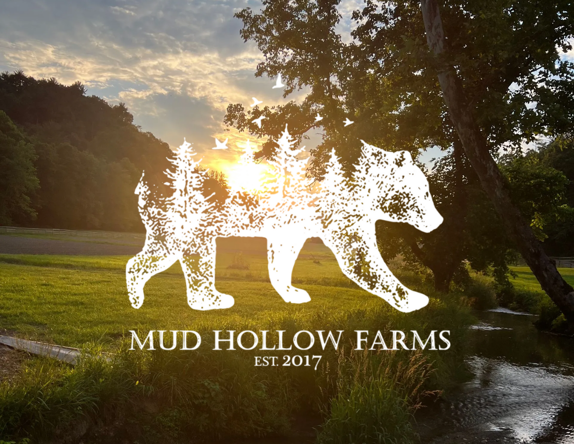 A living room with a couch and a kitchen in the background