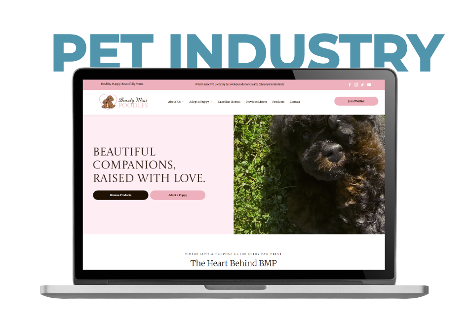 Laptop displaying a poodle dog breeder website with a black poodle image and the text 