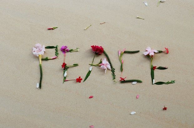Flower parts spelling out the word peace over sand