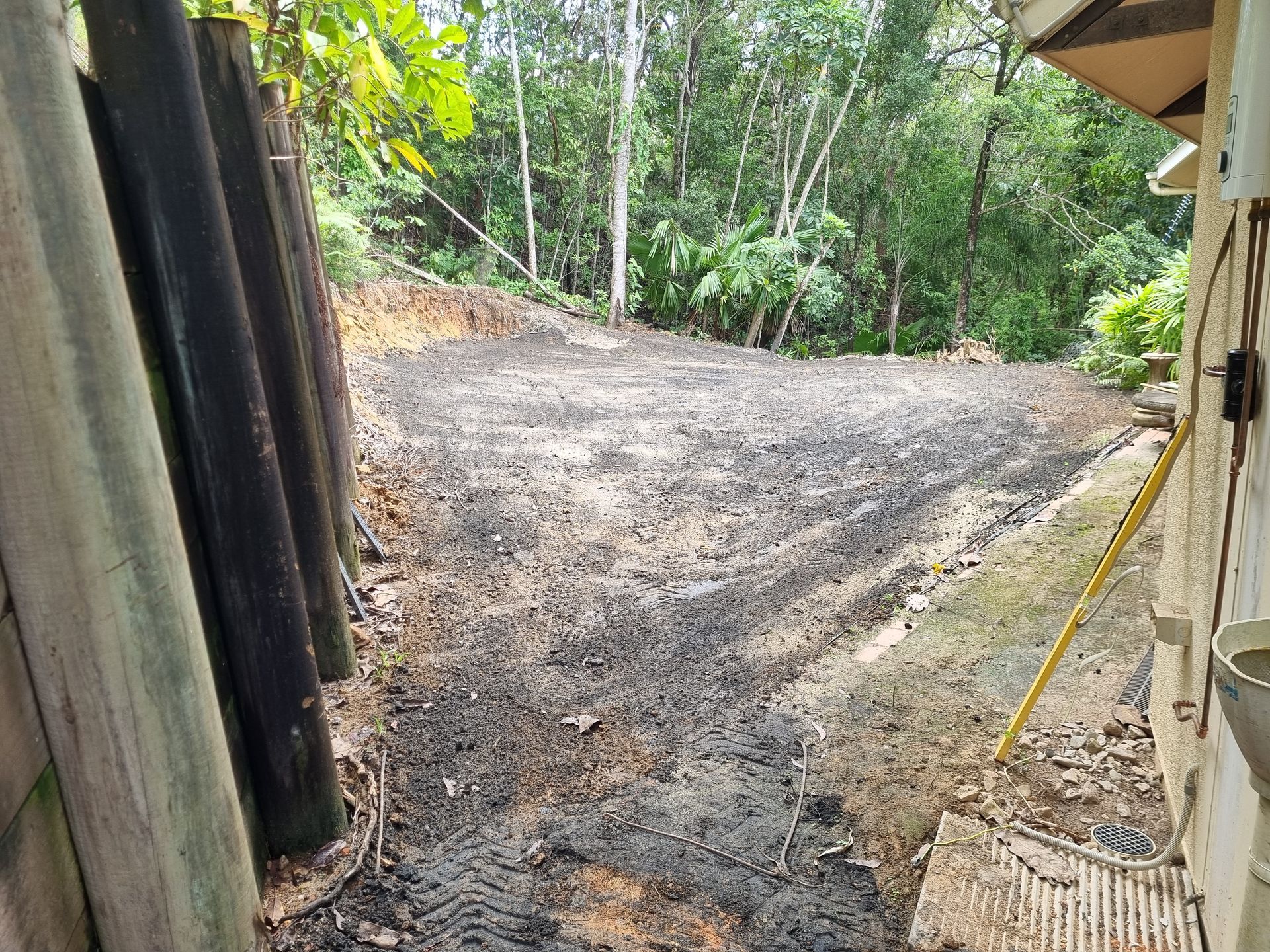 A dirt road leading to a house with trees in the background.