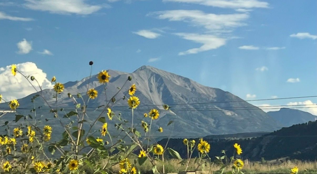 A person wearing a hat and plaid shirt sits on a grassy hill with a backpack, looking out at a scenic mountain range.