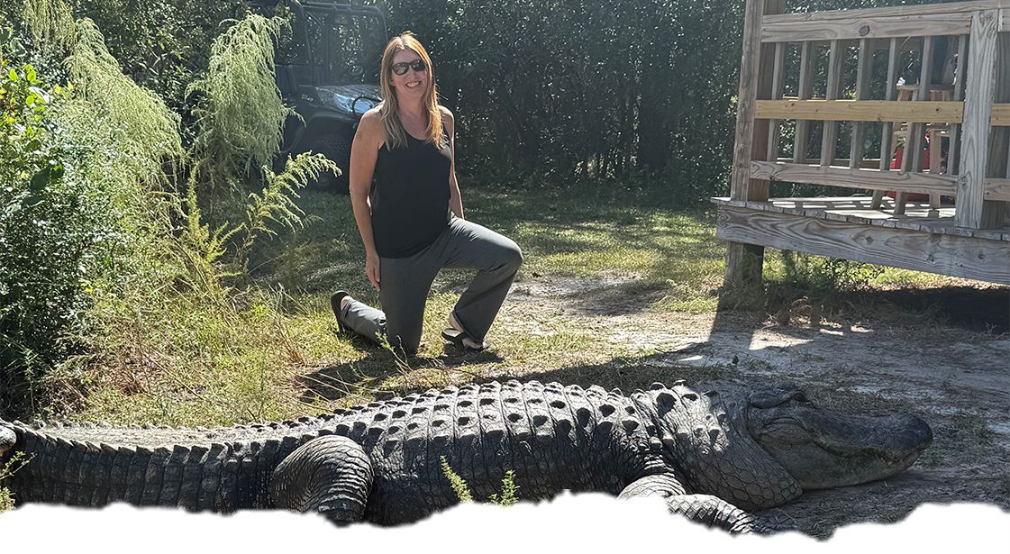 A person kneels in grass near a large alligator resting on the ground outdoors.