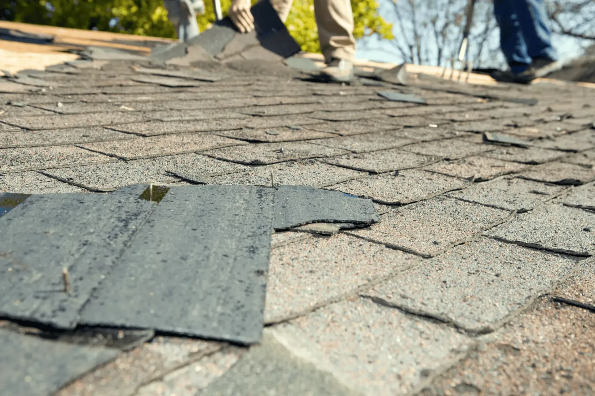 Loose wind-damaged roof shingles on an Elkton, MD home with roofers assessing storm damage