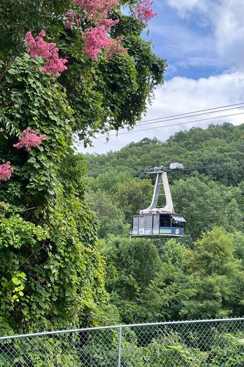 Cable car against a backdrop of green trees and pink blossoms on a sunny day.