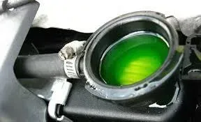 Importance of fluid flush