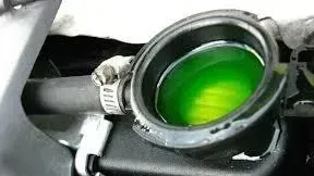 Importance of fluid flush