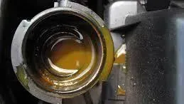 Importance of fluid flush