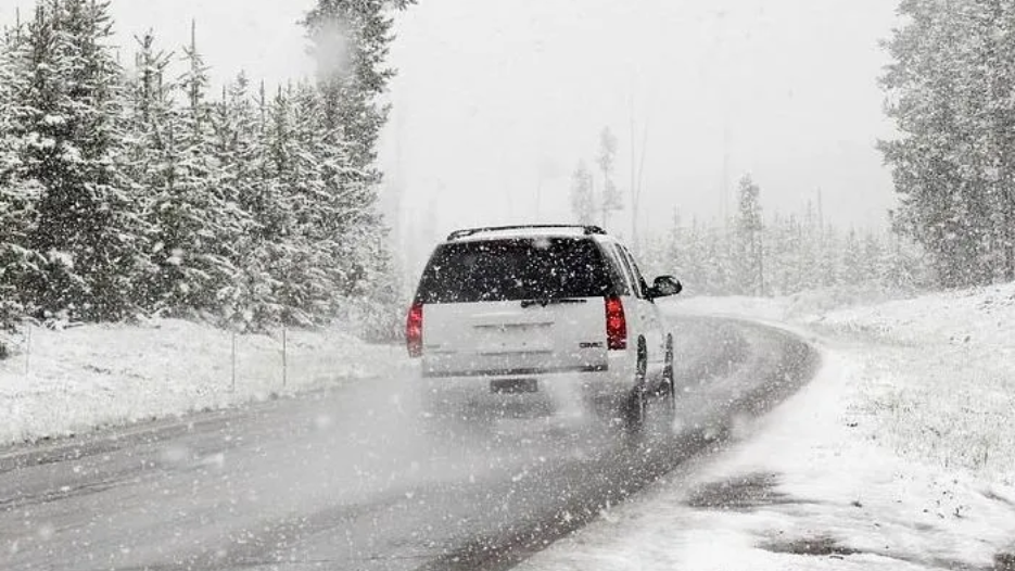 White SUV driving on a snowy road in a forest.