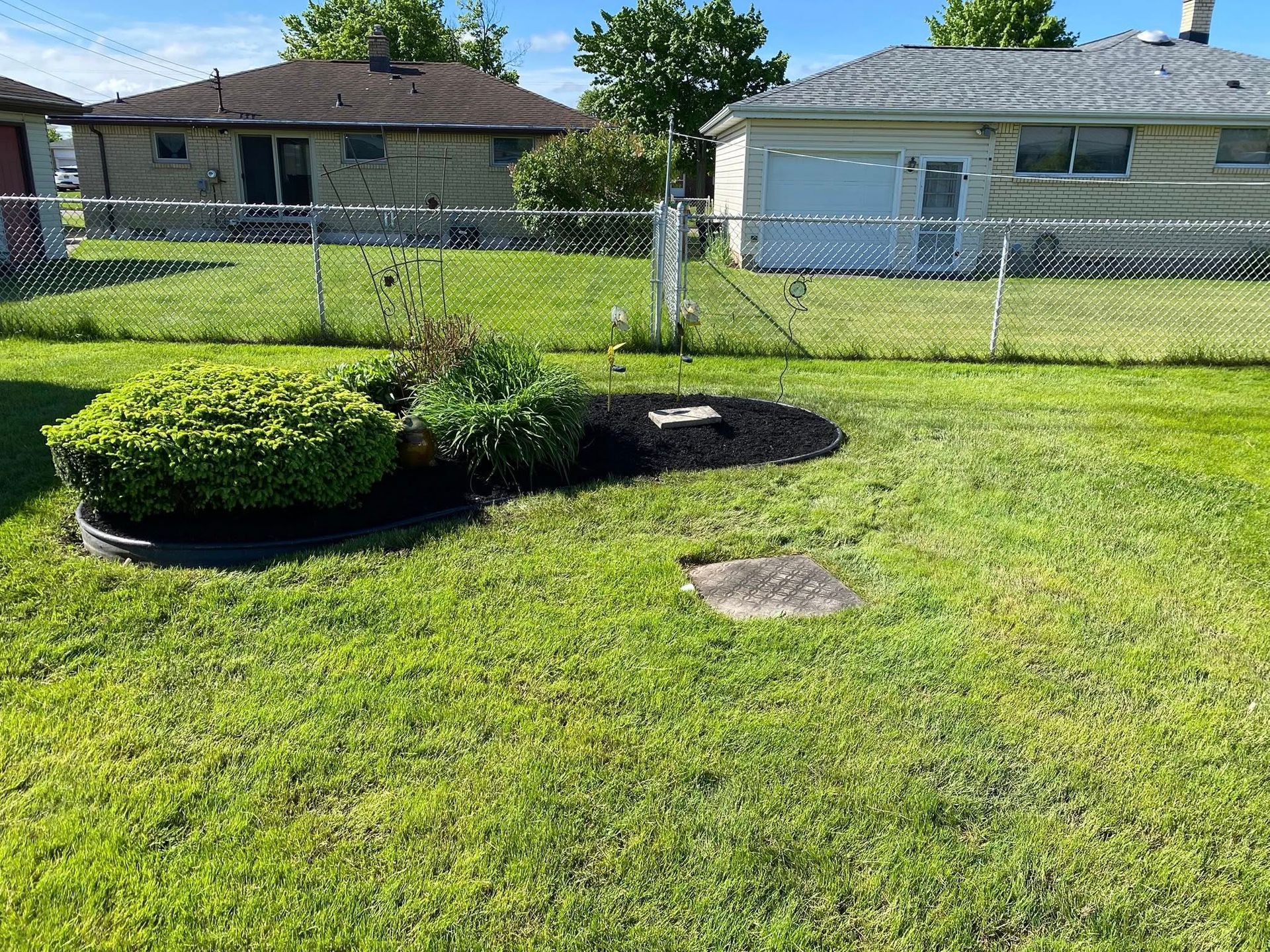 Lawn with chain link fence, flower bed with mulch, and two houses on a sunny day.