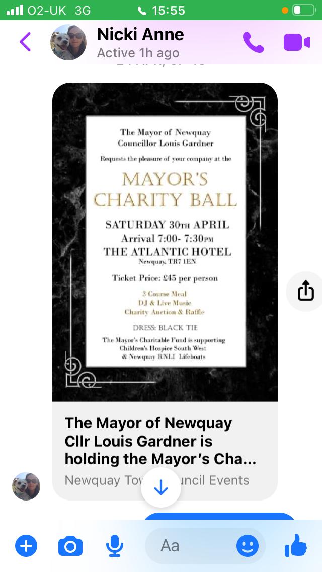 Billboard advert for Mayor's charity ball naming softspot disco