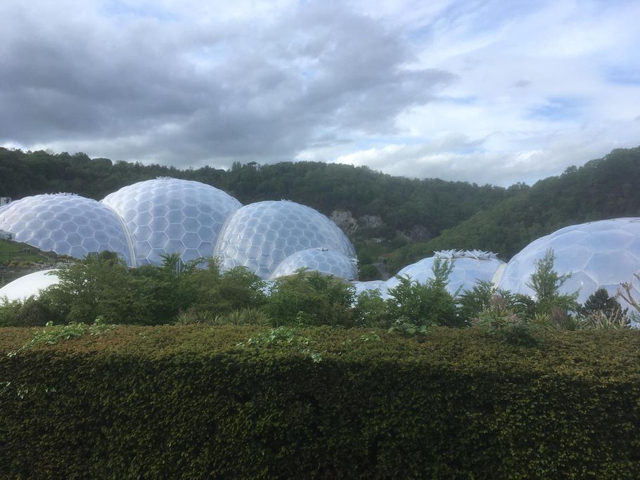 Wedding event at the Eden Project domes in Devon