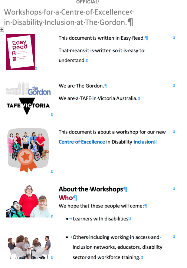 Workshop for a Centre of Excellence in Disability Inclusion at The Gordon. 