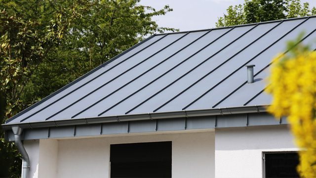 a house with a metal roof and a yellow flower in the foreground .