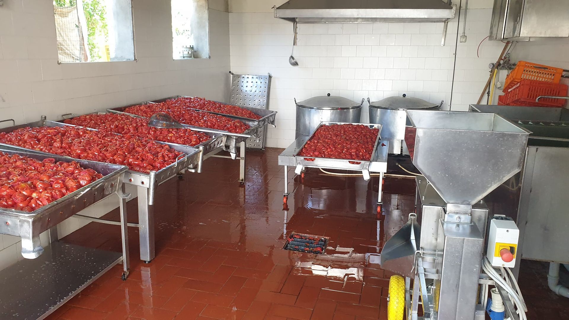 Azienda Agricola Casone di Sotto, maranello, produzione conserve, salsa di pomodoro